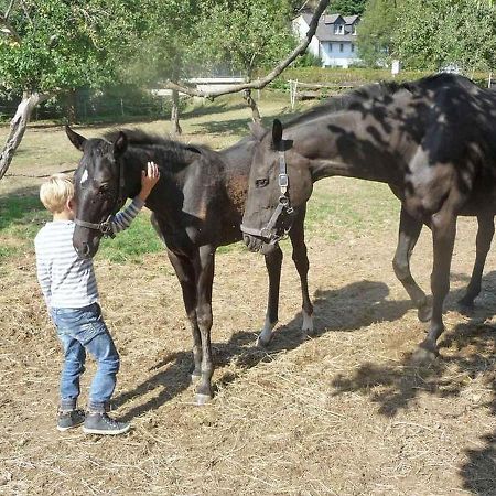 Ferienwohnungen Baust Im Muehlental Еслое Екстер'єр фото